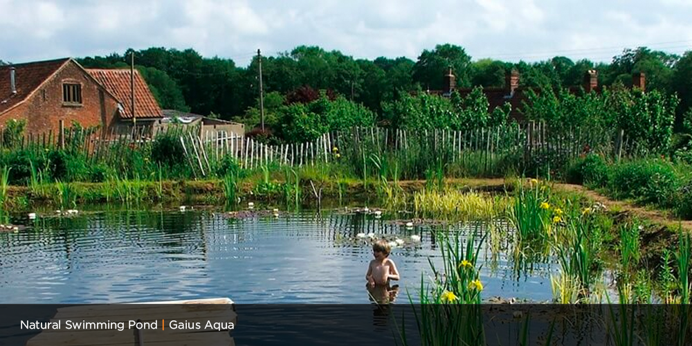 Natural Swimming Pond UK